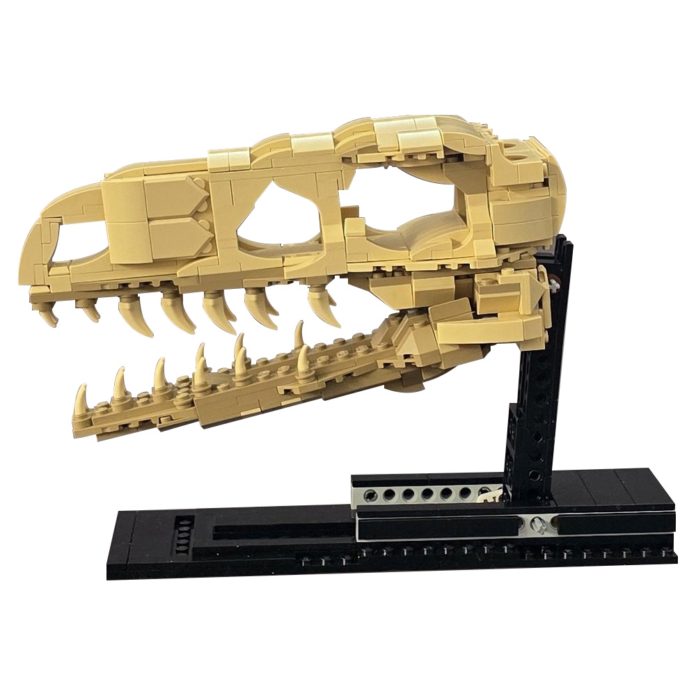 MOC Velociraptor Fossil Skull  - Fossil Replica Display บทวิจารณ์และราคา