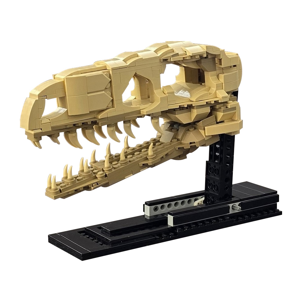 MOC Velociraptor Fossil Skull  - Fossil Replica Display บทวิจารณ์และราคา