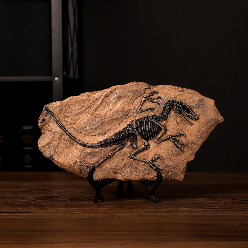 ‌Realistic Dinosaur Fossil Rep - Fossil Replica Display บทวิจารณ์และราคา