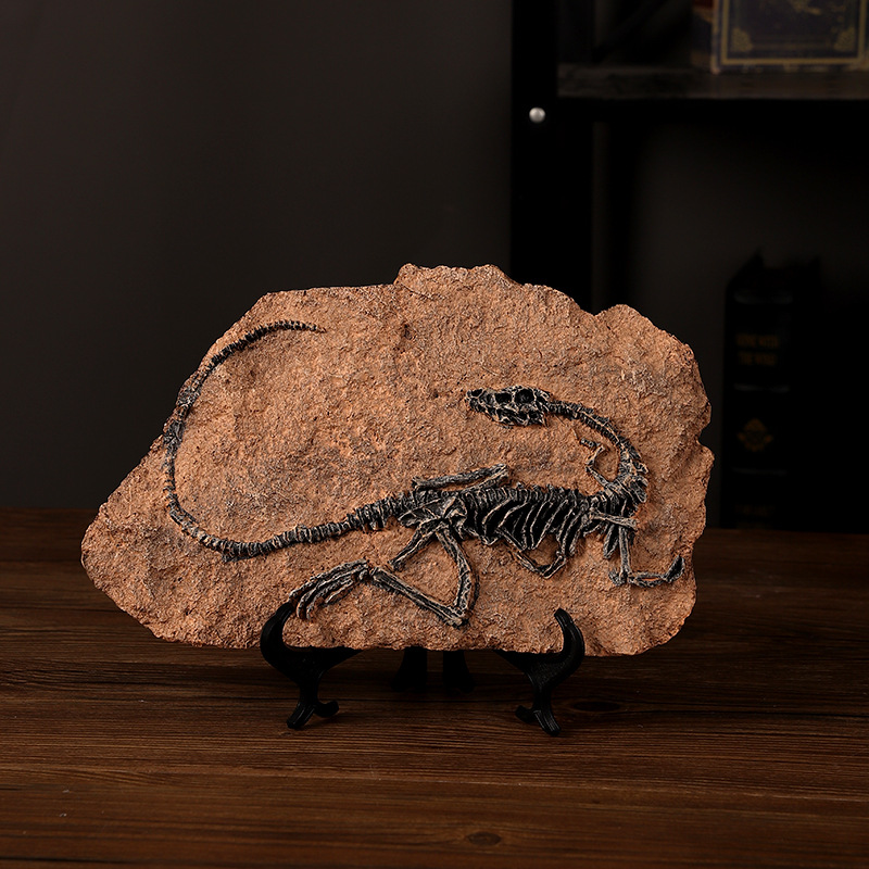 ‌Realistic Dinosaur Fossil Rep - Fossil Replica Display บทวิจารณ์และราคา