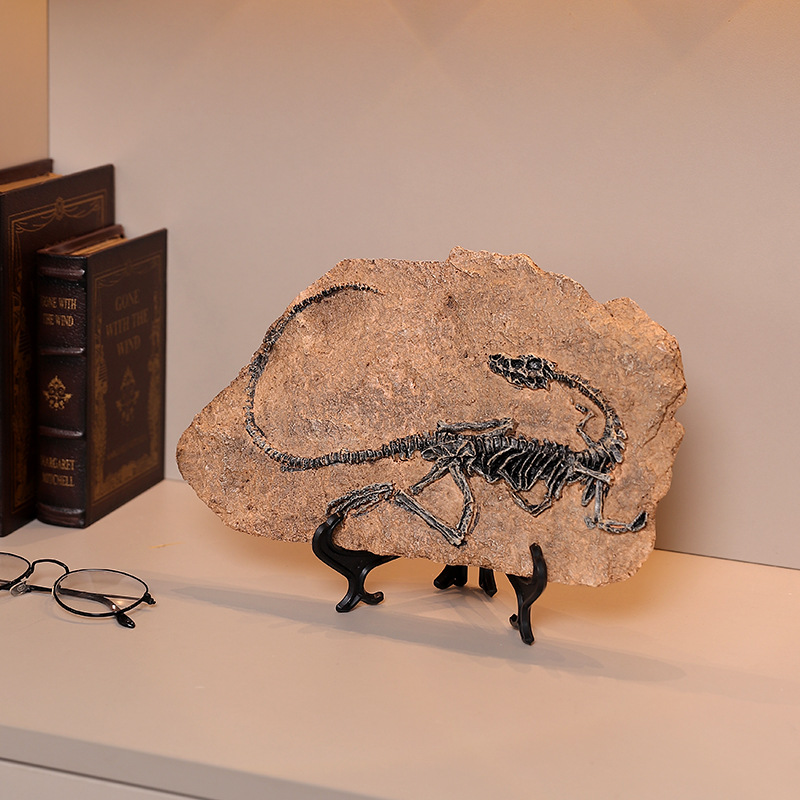 ‌Realistic Dinosaur Fossil Rep - Fossil Replica Display บทวิจารณ์และราคา