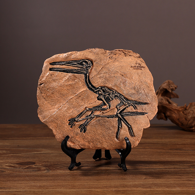 ‌Realistic Dinosaur Fossil Rep - Fossil Replica Display บทวิจารณ์และราคา